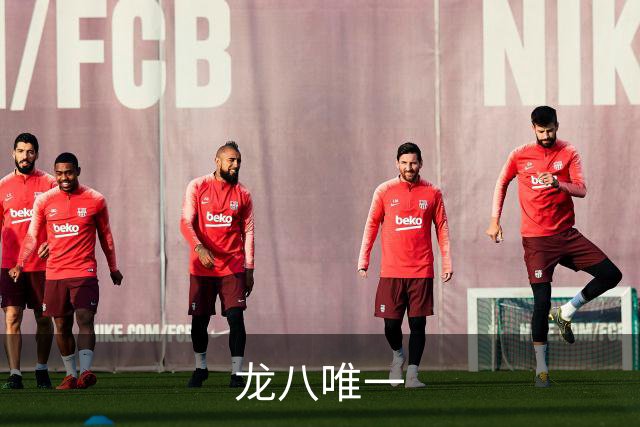 龙八唯一公司介绍图片